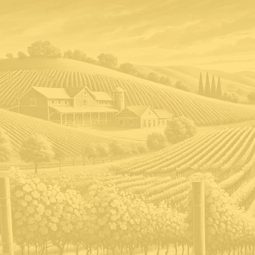 Bioweingut & Marillenhof Bergkirchner